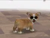 Nintendo Nintendogs Dachshund & Friends - Simulationsspiel Produktbild-Vorschau 9