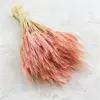 Getrocknete Triticale Pflanzen in Rosa, ca. 60 cm lang, ca. Produktbild-Vorschau 2