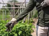 A person is using a sprayer in a garden. Podgląd zdjęcia produktu