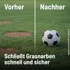 Substral Rasensamen Sport und Spiel, strapazierfähige Produktbild-Vorschau 9