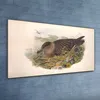 Coloray Bild aus Acryl 120 cm x 60 cm - Wohnzimmer Produktbild-Vorschau 2