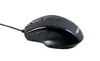 GAMEMAX Gaming-PC MegaDeal Rockstar Komplett-SET i5 14400F Produktbild-Vorschau 8