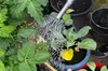 Zinkgießkanne 10 l silber Stahlblech verzinkt Garten Produktbild-Vorschau 6