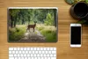 MuchoWow® Laptop Aufkleber Sticker Cover Wald - Hirsche - Produktbild-Vorschau 2