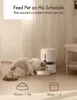 Petlibro Granary mangiatoia automatica per cani e gatti 3L Anteprima dell’immagine prodotto 9