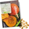 Kürbis Samen (Hokkaido, 5 Korn) - Kürbis Saatgut aus Produktbild-Vorschau 1