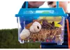Eduplay Insektenbox - Lernspielzeug für kleine Entdecker Produktbild-Vorschau 5