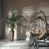 A plant in a pot and a hanging chair with a blanket are shown in a room with sunlight casting shadows on the wall. Náhľad obrázku produktu