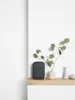 Google Nest Audio, Google Assistant, Oval, Anthrazit, Produktbild-Vorschau 18