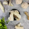 1 kg Lyra Pet® Kaninchenpfoten mit Fell Produktbild-Vorschau 7