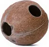 Terrario CocoLair - tutto il cocco naturale Terrario Anteprima dell’immagine prodotto 2