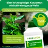 Purgrün Kaffeepflanze-Dünger 1 Liter, Produktbild-Vorschau 4
