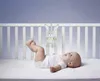 Chicco First Dreams 00011129000000, Králik, Interaktívne, Náhľad obrázku produktu 3