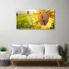 Acrylglasbilder 100x50 Wandbild Druck Sonnenblume Pflanzen Produktbild-Vorschau 3