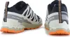 Salomon XA PRO 3D V9 GTX grau Walkingschuh Mehrfarbig in Produktbild-Vorschau 5