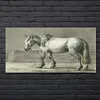 Coloray Bild aus Acryl 140 cm x 70 cm - Wanddekoration Produktbild-Vorschau 2