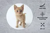 MuchoWow® Mauspad Mousepad Katze - Rot - Kätzchen - Mädchen Produktbild-Vorschau 2