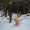 Ruffwear Lumenglow™ High-Vis Jacket, Kolor:Blaze Orange, Podgląd zdjęcia produktu 5