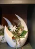 Sterntaler Dekostern | Weihnachtsstern Baby-Stern | Produktbild-Vorschau 27