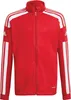 Adidas Sq21 Tr Jkt Y Tmpwrd/White 152 Produktbild-Vorschau 1