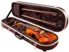 Custodia rigida per violino 4/4 Gator GC-Violin 4/4 Anteprima dell’immagine prodotto 5