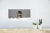 MuchoWow® Poster Kätzchen - Federn - Grau 40x20 cm - Poster Produktbild-Vorschau 5