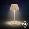 Riffle Mini LED Lampa Stołowa Akumulatorowa Lampa Stołowa Podgląd zdjęcia produktu 11