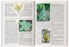 El Libro de Los Remedios Herbales Olvidados: El Poder Vista previa de la imagen del producto 6