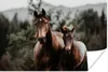 MuchoWow® Poster Pferd - Fohlen - Natur 30x20 cm - Plakate Produktbild-Vorschau 1