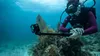 GoPro HERO13 BLACK Action-Sportkamera 27,6 MP 5,3K Ultra HD Produktbild-Vorschau 22