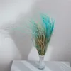 Federgras Getrocknete - (Stipa pennata) - Minze Produktbild-Vorschau 4