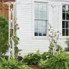 Vrygle Arche de Mariage Métal – Arche de Jardin pour Roses Voir les images du produit 9