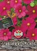 SPERLI Schmuckkörbchensamen Rubin Cosmos bipinnatus 45 Produktbild-Vorschau 2