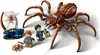 LEGO® Harry Potter™ 76434 Aragog w Zakazanym Lesie™ Podgląd zdjęcia produktu 40