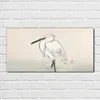 Coloray Bild aus Acryl 100 cm x 50 cm - Gehärtetes Acryl Produktbild-Vorschau 2