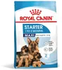 Pienso Royal Canin Maxi Starter Mutter & Babydo Aves 4 Kg Produktbild-Vorschau 3