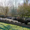 A garden scene with a metal border separating a lawn from a garden bed with frost-covered plants and trees in the background. Produktbild-Vorschau