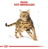 Royal Canin Bengal Adult, Adult, Bengalen, Geflügel, Produktbild-Vorschau 3