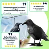 Realistische Vogelabwehr Krähe mit Sound: Produktbild-Vorschau 5