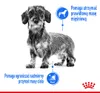 Royal Canin 9003579008690, Adult, 85 g Produktbild-Vorschau 5