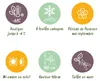 GreenboutiQ - Fleurs de Passions - Passiflora Rainbow - Voir les images du produit 7