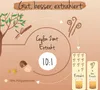 Vegavero Estratto di cannella di Ceylon | 120 capsule | Anteprima dell’immagine prodotto 4