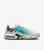 Nike TN Air Max Plus "Dusty Cactus Barely Volt" Podgląd zdjęcia produktu 3