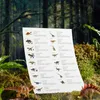 Mideer Zestaw kolekcjonerski dinozaurów 24 szt. Podgląd zdjęcia produktu 7
