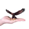 Mojo Eagle Podgląd zdjęcia produktu 8