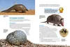 Entdecke die skurrilsten Tiere Produktbild-Vorschau 3