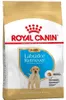 Royal Canin Labrador Retriever Junior - 12 kg Anteprima dell’immagine prodotto 2