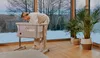 Lionelo Aurora 3in1 - culla, culletta, lettino autoportante Anteprima dell’immagine prodotto 2