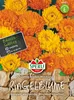 Ringelblume Zwerg Bonbon, Mischung | Ringelblumensamen von Produktbild-Vorschau 3