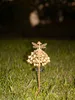 A decorative fairy stake with solar lights is planted in a grassy lawn at night. Produktbild-Vorschau